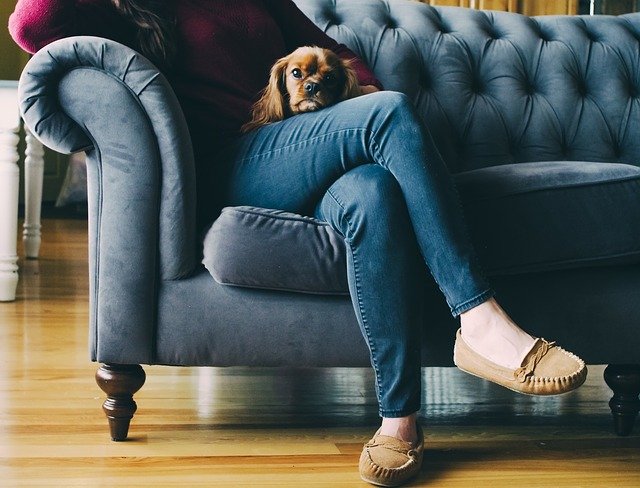 odpočinek se psem na gauči.jpg
